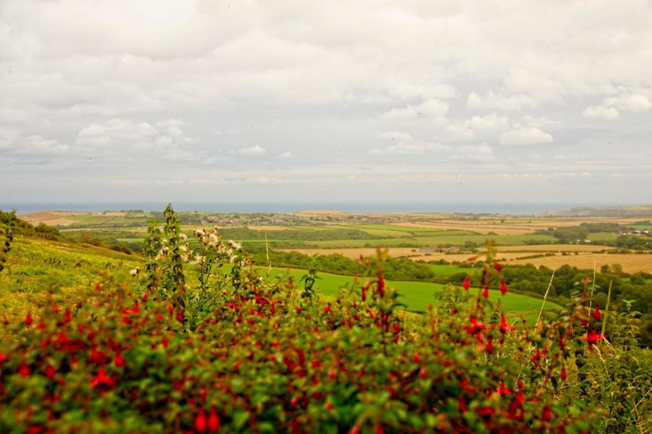 Sebright Cottage, Borrowby Farm Cottages Стейтс Екстер'єр фото